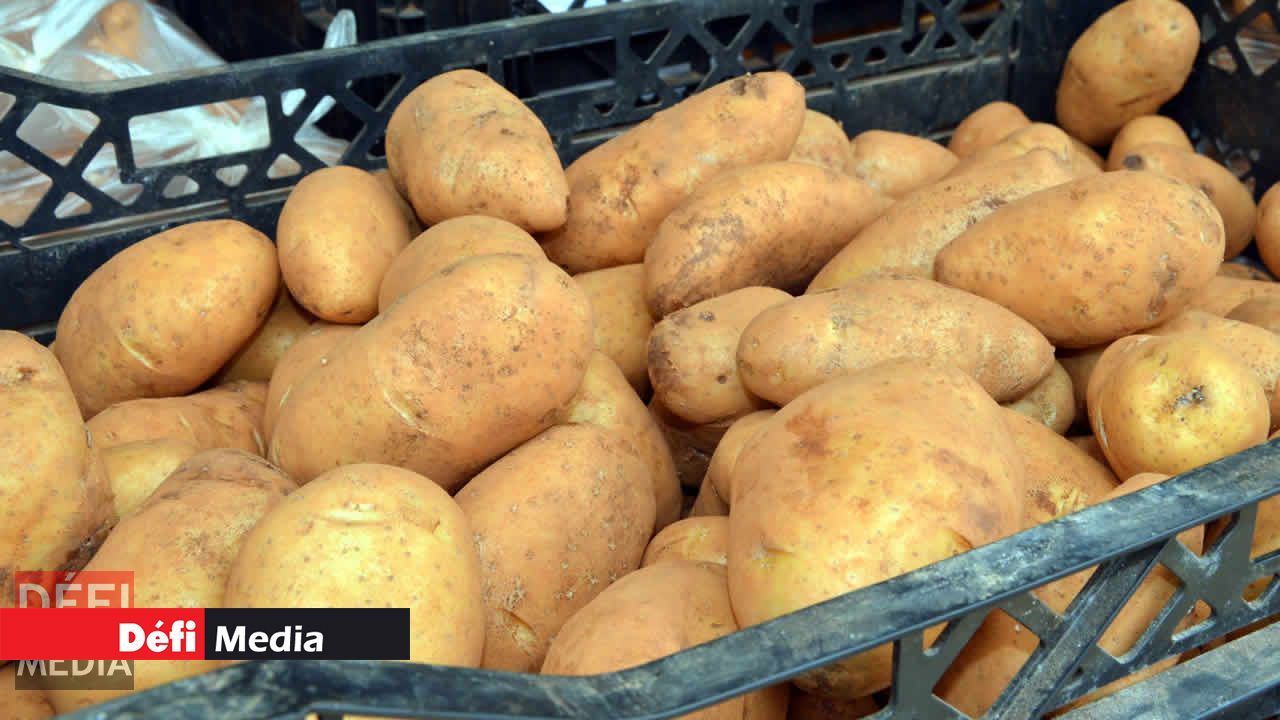 Sale of Imported Potatoes Banned at the National Wholesale Market