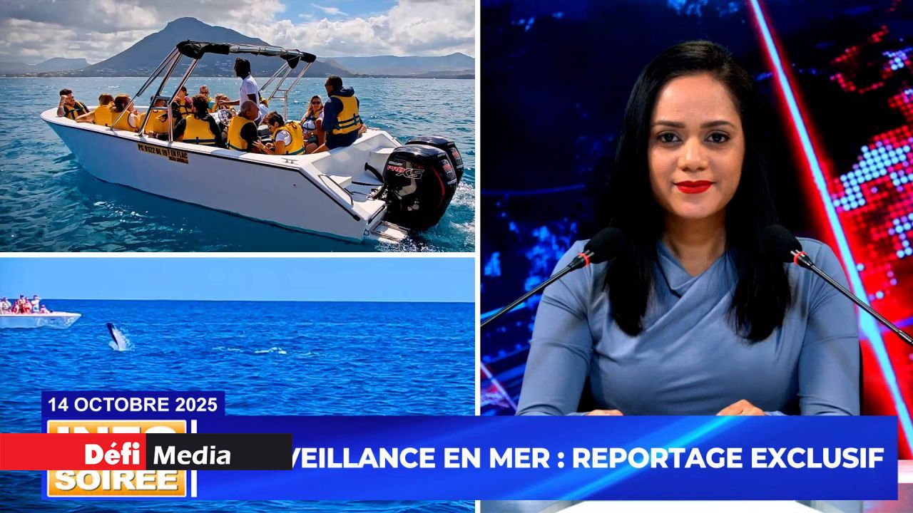 [Evening Update]: "NO RIGHTS FOR SWIMMING WITH DOLPHINS AND WHALES"