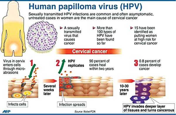 human papillomavirus vaccine mode of action