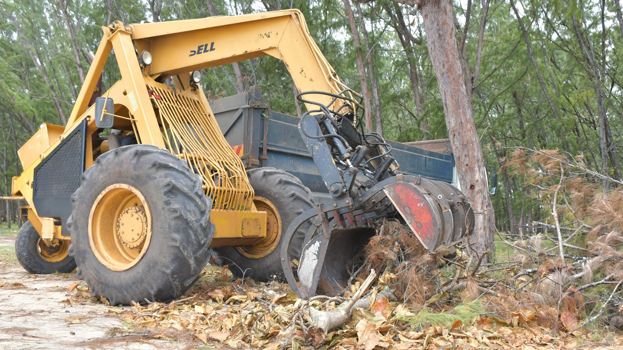Le tracteur ramasse les débris de filaos entassés à Mont-Choisy.