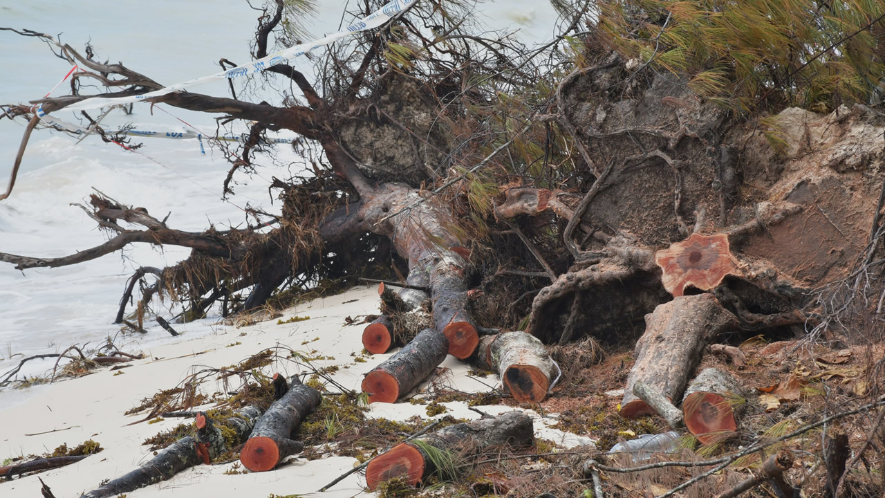 L’érosion causée par les fortes pluies et les grosses vagues entraîne la disparition de nos plages.