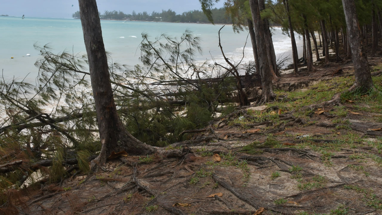 L’érosion causée par les fortes pluies et les grosses vagues entraîne la disparition de nos plages.