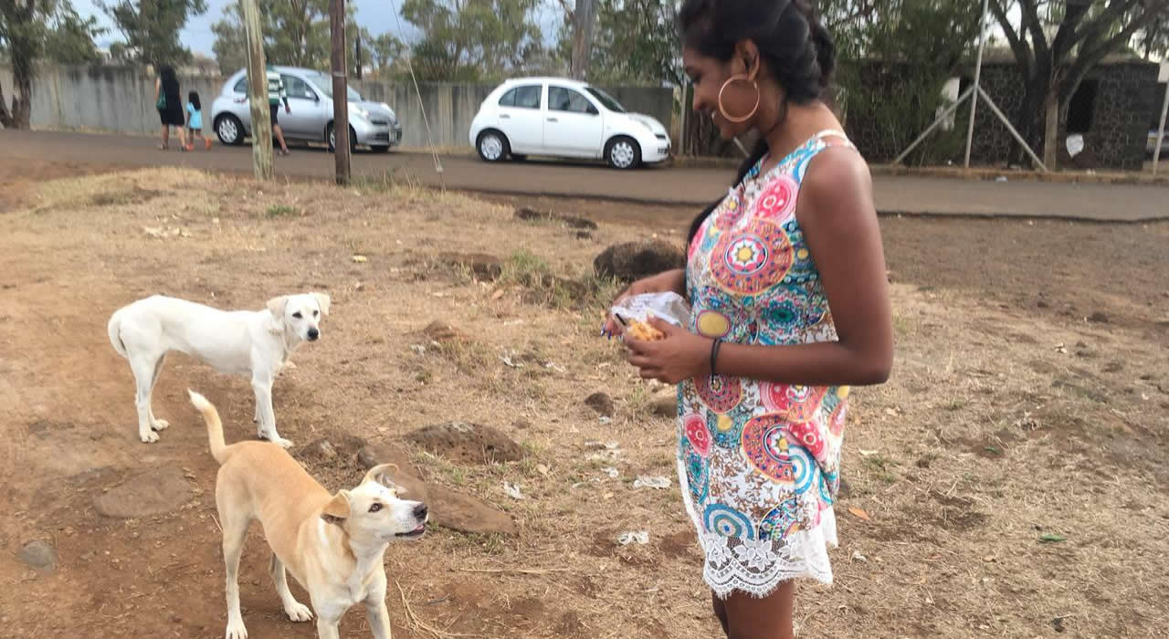 Nandini