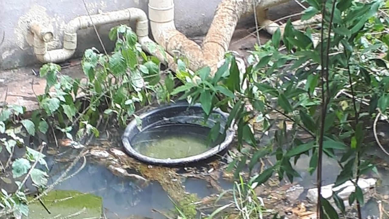 Avec les drains qui sont bouchés, l’eau du tout-à- l’égout stagne dans la cour.