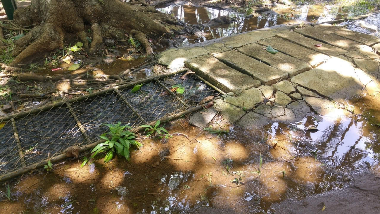 Feuilles et brindilles pas enlevées. Le canal déborde dans le jardin.