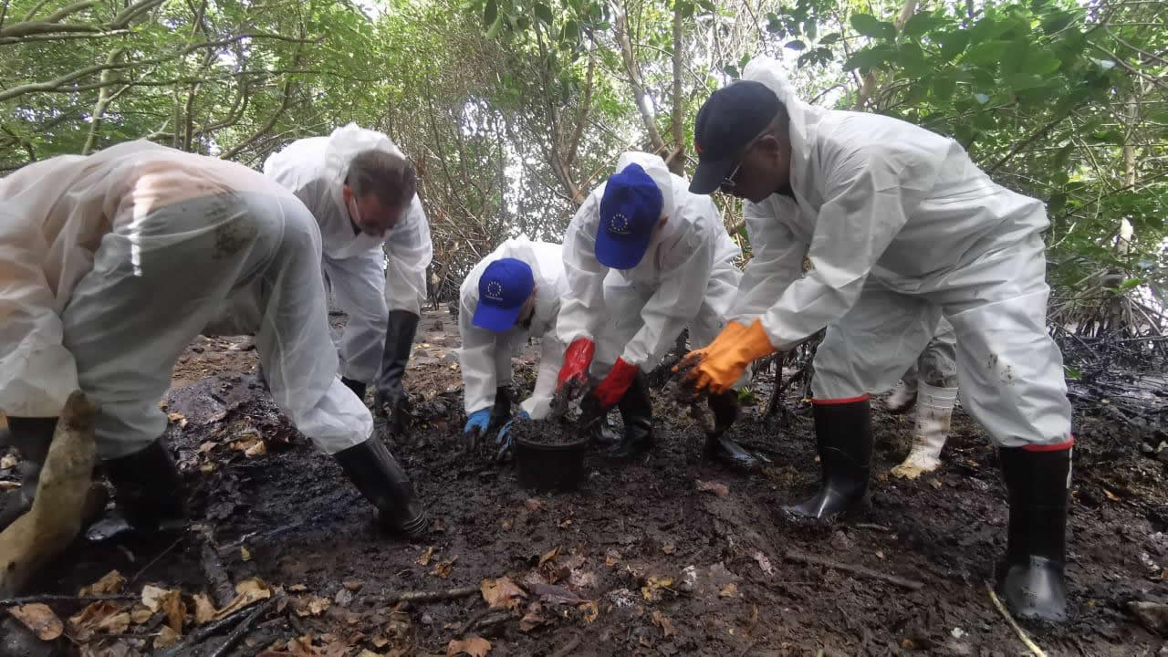 Vincent Degert, Lindsay Morvan et d’autres membres de la délégation à l’œuvre dans les mangroves de Rivière-des-Créoles. 