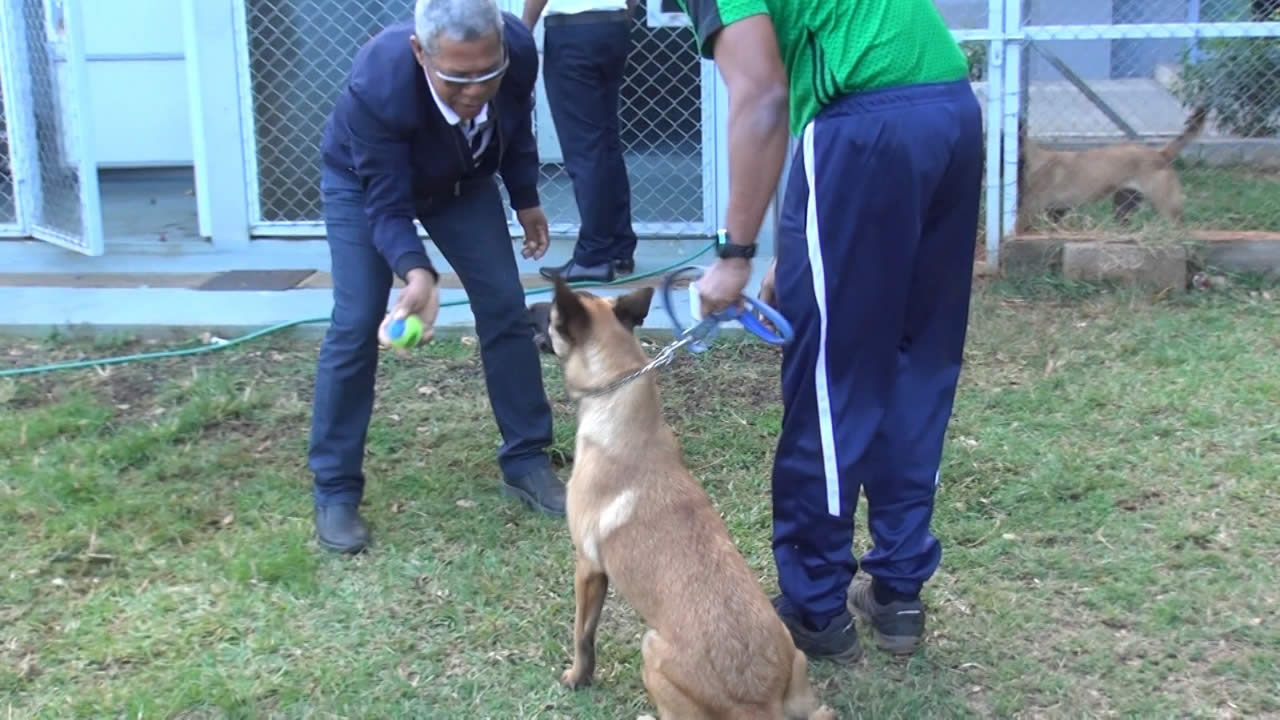Jean-Luc Chane-Kane montre aux instructeurs les gestes qu’il faut faire pour bien communiquer avec les chiens renifleurs.