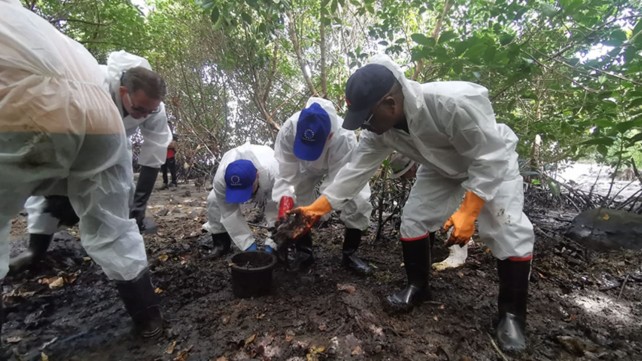 Vincent Degert, Lindsay Morvan et les membres de la délégation européenne procédant au nettoyage manuel à Rivière-des-Créoles, pour réduire la pollution affectant les mangroves.