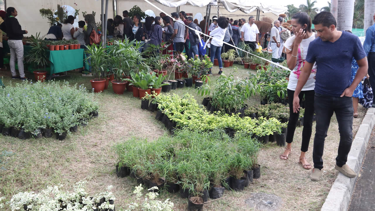 Salon du destockage