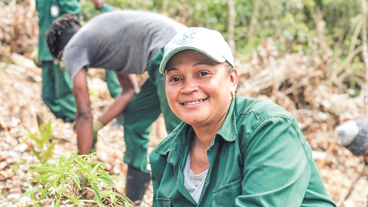 La restauration de l’habitat naturel nécessite un engagement et des investissements à long terme.