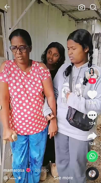 Mamarosa