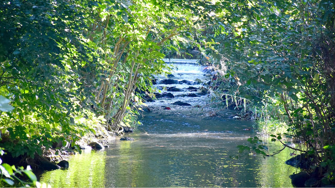 Les berges de la rivière offrent un cadre enchanteur, idéal pour se ressourcer.