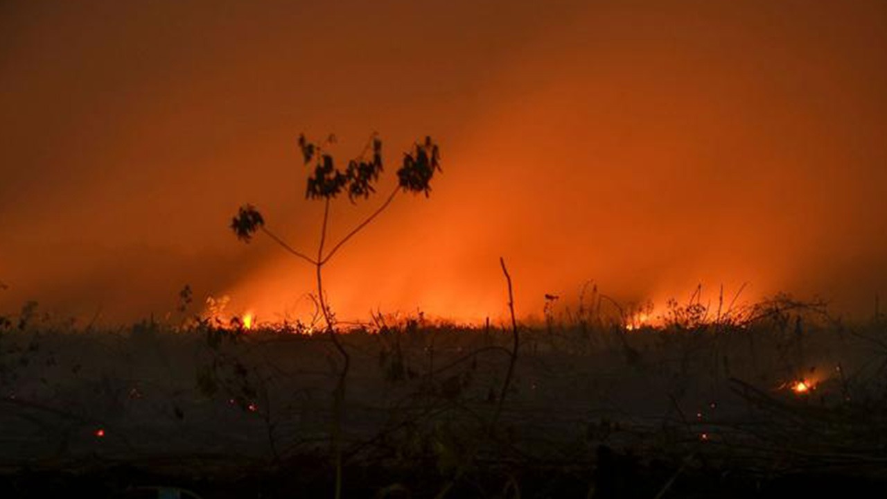 L’Indonésie fait face à de multiples feux de forêts depuis la fin du mois de juillet
