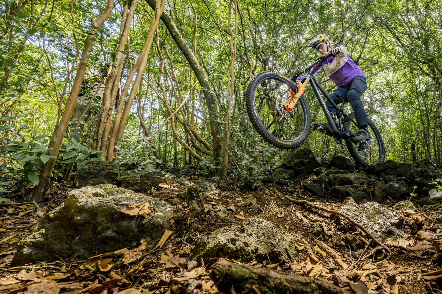 trail
