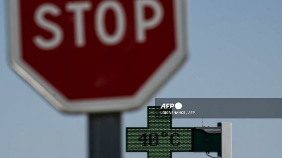 Canicule : de nombreux records absolus de température battus confirme Météo-France