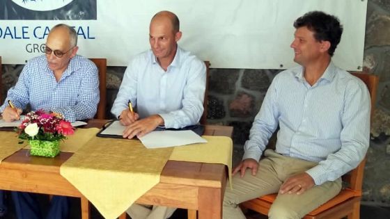 Diversification agricole : St Felix Agri se lance dans l’élevage d’ovins