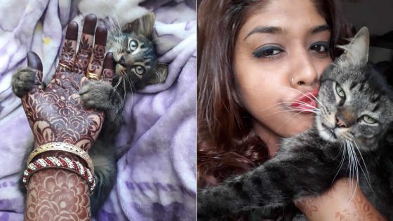 Pooja Bhurtun, artiste de henné : elle puise son inspiration de ses chats