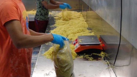 Production locale : de nouveaux opérateurs arrivent sur le marché des nouilles fraîches