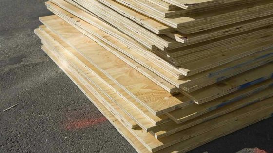 Marché des matériaux : le prix du plywood a baissé d’environ 25 %