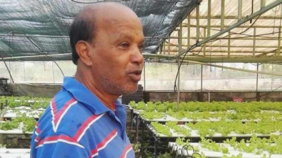 Dewanun Gokool : celui qui cultive des laitues hydroponiques