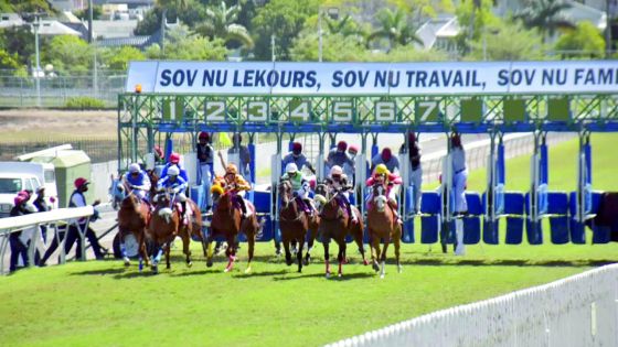 Retransmission des courses hippiques : la MBC et le MTC pas sur la même longueur d’onde