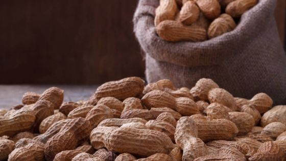 Si elles sont conformes à la Food Regulations Act : «Aucune interdiction ne pèse sur l’importation des pistaches»