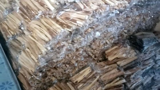 Saisie d’une importante cargaison de bois de santal à Terre-Rouge