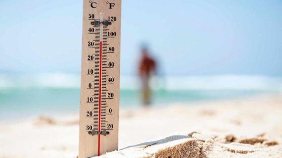 Selon la météo : le thermomètre grimpe jusqu’à 34°C ce mardi