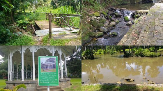 SSR Botanical Garden : l’éden de Curepipe