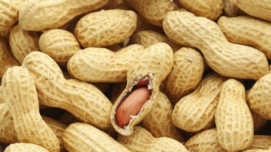 Selon une étude américaine : la cacahuète est bénéfique au cœur 