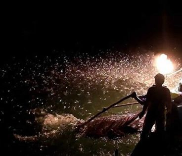 Taïwan: des torches de feu pour pêcher