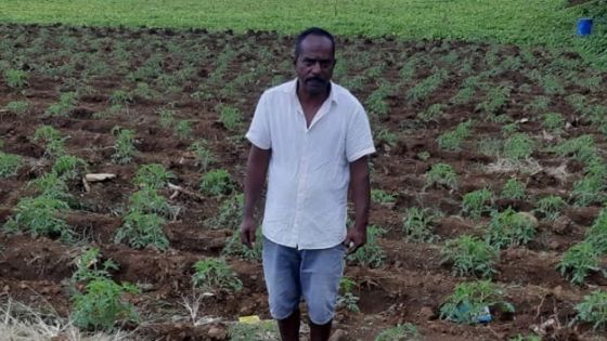 Dhaneswar Lutchmun, planteur : «On m’arrache mon gagne-pain sans préavis»
