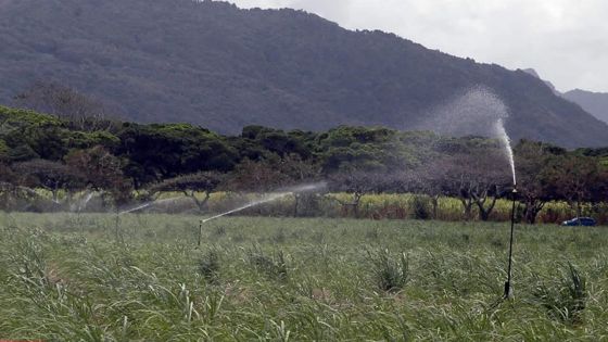 Industrie cannière : l’arrosage réduit à deux fois par semaine