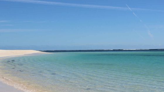 Australie : un jeune pêcheur a survécu plusieurs heures dans une eau froide infestée de requins