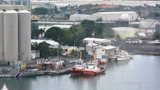 Transformation du port franc : le BoI veut davantage de flexibilité pour l’emploi de travailleurs étrangers