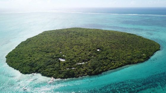 Mauritian Wildlife Foundation : L’Île aux Aigrettes ou l’Arche de Noé 