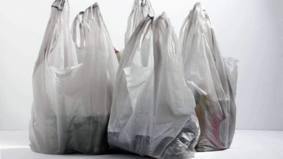 Contrefaçon : de faux sacs biodégradables mis en circulation