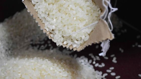 Récentes intempéries : des sachets de riz dans le stock de la STC infestés de «gon»