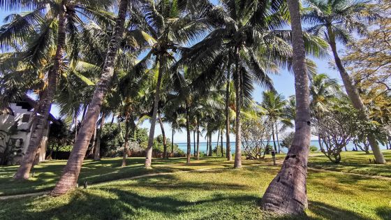 Tourisme : sans réouverture, les Français quittent Maurice pour les Seychelles