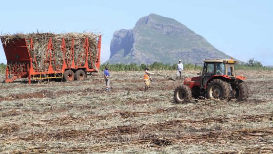 Devises : les opérateurs attendent une annonce favorable sur la roupie