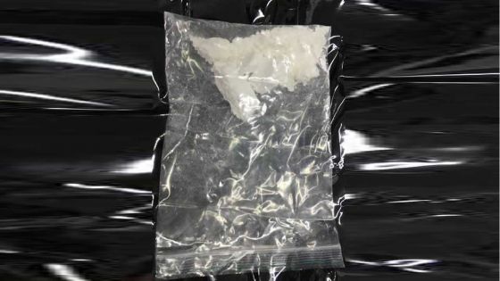 Saisie de 45,7 g de cocaïne : quatre habitants de Vallée-Pitot arrêtés