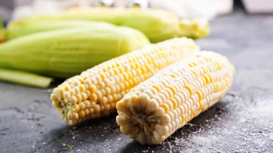 Maïs : une production en dents de scie