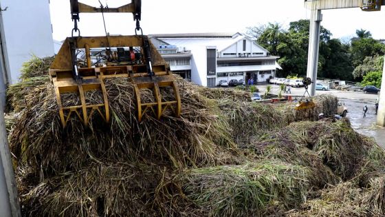 Allégations de conflit d’intérêts au CEB - Alteo : «Nous ne connaissons pas Hervé Hébrard»