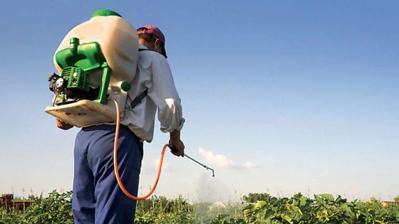 Agriculture : un pesticide, interdit en Europe, utilisé à Maurice