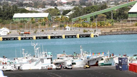 Exportations vers l’Afrique : Enterprise Mauritius donne les clés du continent