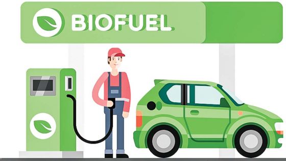 Alternatif aux produits pétroliers - Biocarburant : ce mélange salvateur qui se fait attendre 