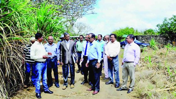 Indian experts visit St Antoine Cooperative