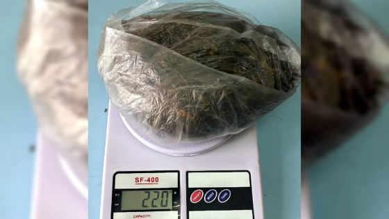 Drogue retrouvée à Résidence La Cure : les images des caméras Safe City déterminantes