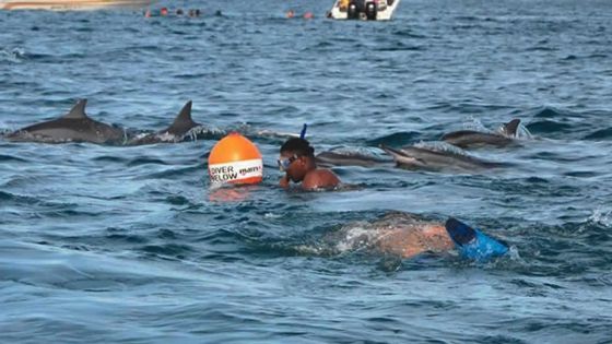 Suite à l’attaque de requins à Tamarin - Excursion en mer : de nouveaux règlements en gestation