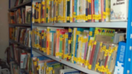 Vente de manuels scolaires - Réforme : les libraires prévoient une année difficile